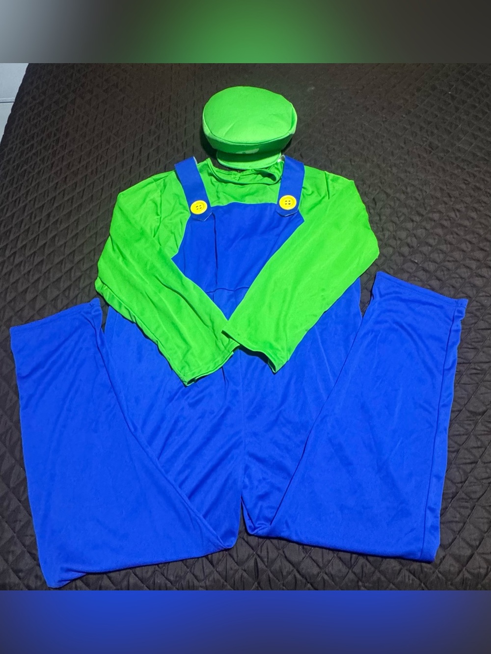 Adult Luigi costume Blue & Green Overalls Costume